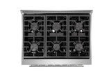 36 Inch Professional Gas Range with 6 German Tower Dual Flow Burners, 5.5 Cu. Ft. Oven Capacity, Continuous Cast Iron Grates, Infrared Broiler, Blue Porcelain Interior and Full-Extension Adjustable Glide Racks: Gas