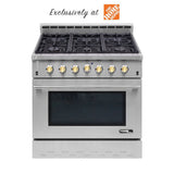 NXR ENTRÉE NK Series Gas Range