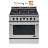 NXR ENTRÉE NK Series Gas Range