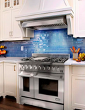 NXR LS Series Gas Range